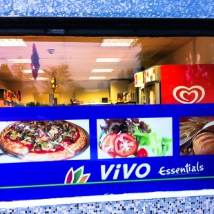 vivo essentials window graphics